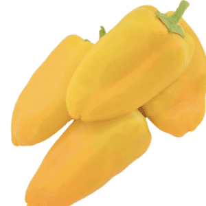 Three fresh yellow bell peppers clustered together.